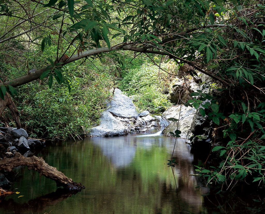 CHARCA BARRANCO DEL INFIERNO