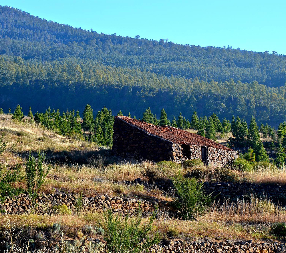 Ayuntamiento de Arico