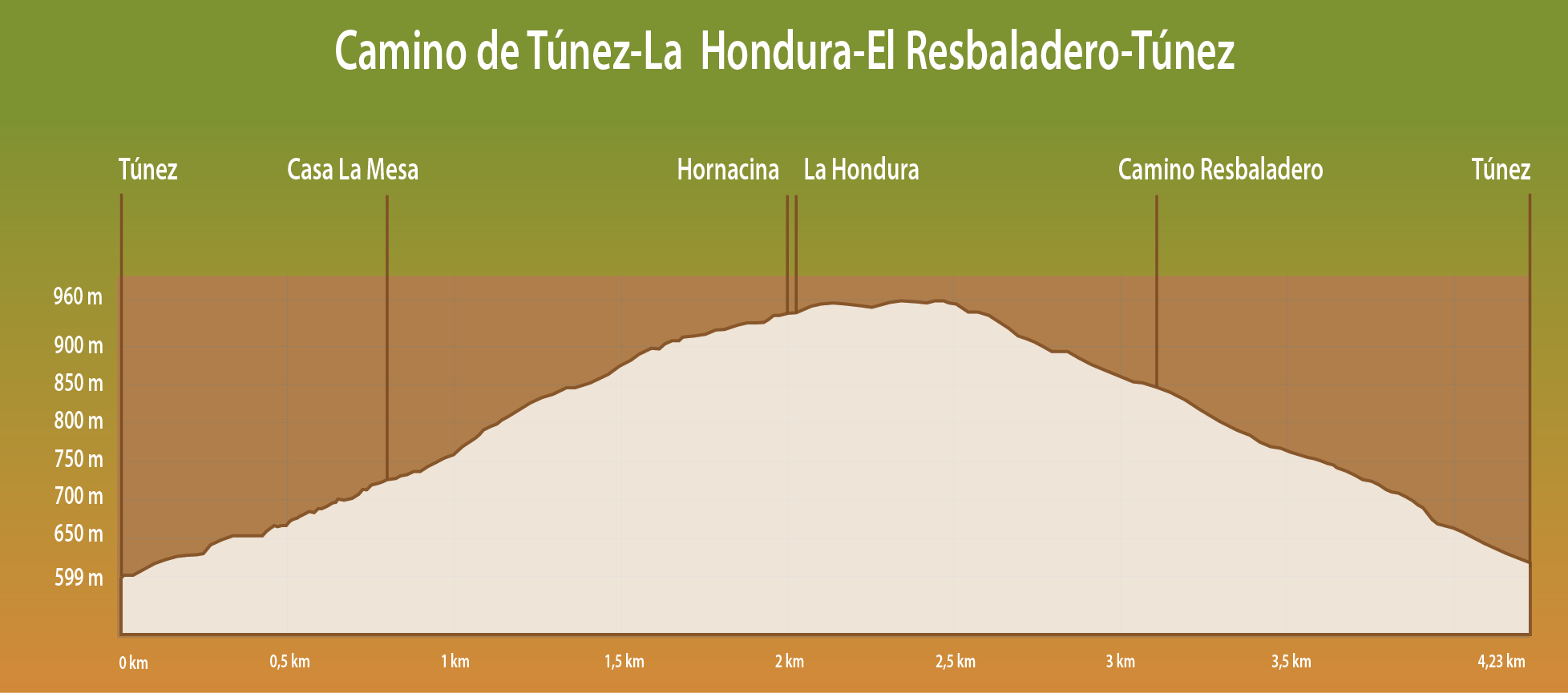 PERFIL DE ELEVACIÓN