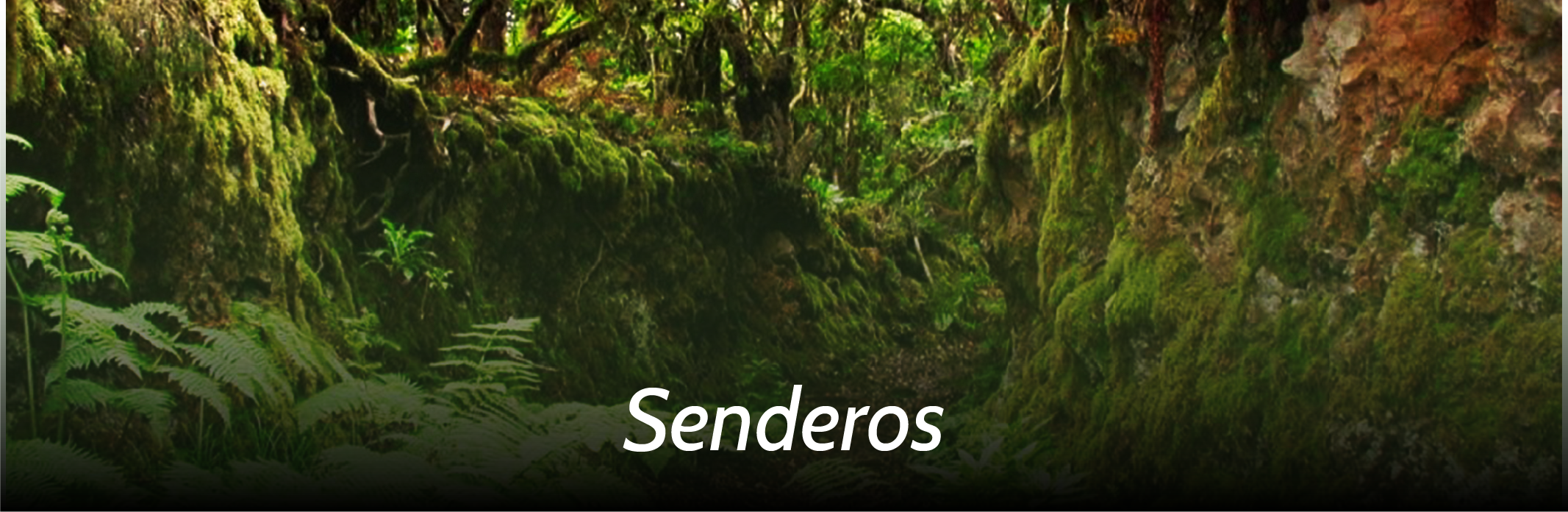 Contacto slider